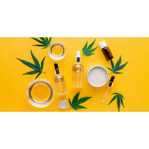 【2024年】CBDの規制はいつから？大麻取締法の改正内容や影響をわかりやすく解説！