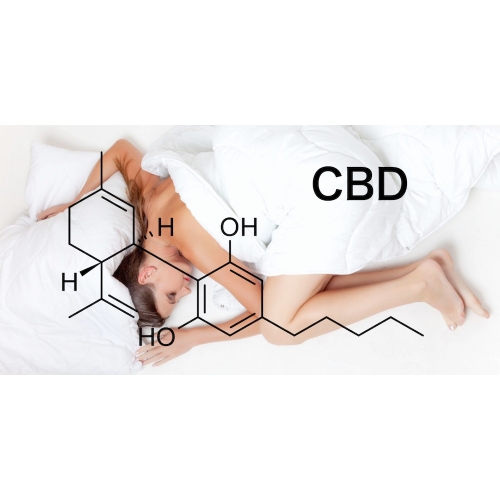 【2024年】CBDの規制はいつから？大麻取締法の改正内容や影響をわかりやすく解説！