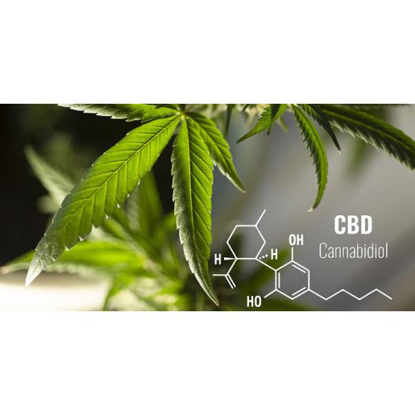 CBDはどんなもの？CBDを含んだVAPEの吸い方もあわせてご紹介！